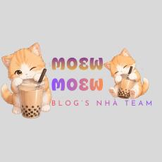 Team Meow Meow 🐈