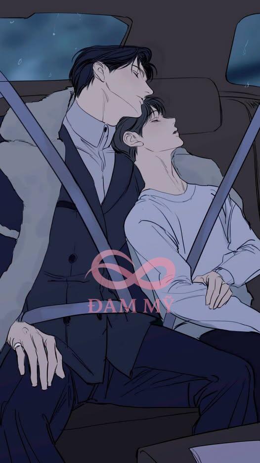 Cây Linh Sam Sau Mưa