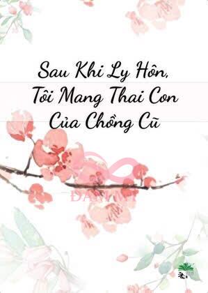 Sau Khi Ly Hôn, Tôi Mang Thai Con Của Chồng Cũ