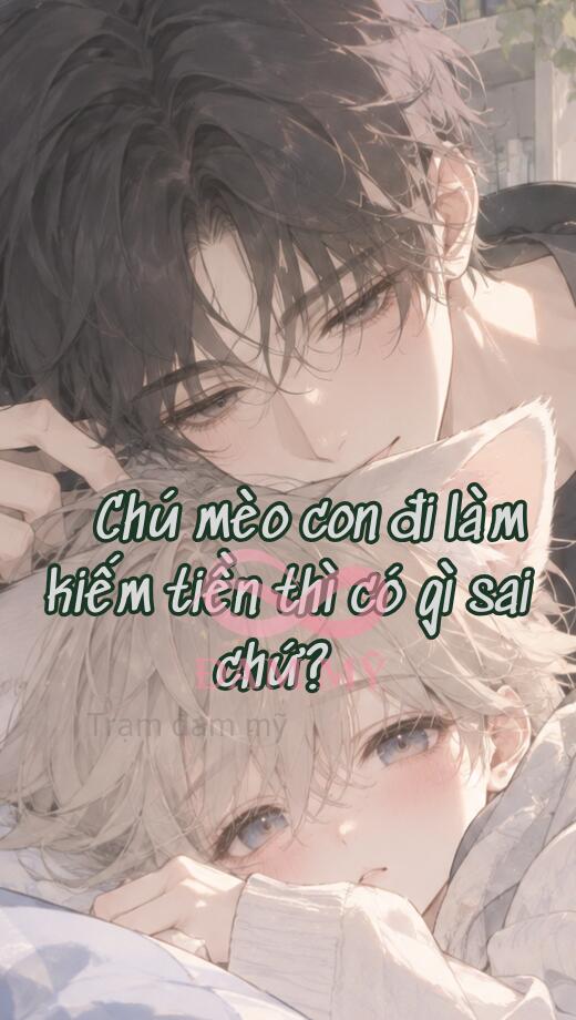 Chú mèo con đi làm kiếm tiền thì có gì sai chứ?