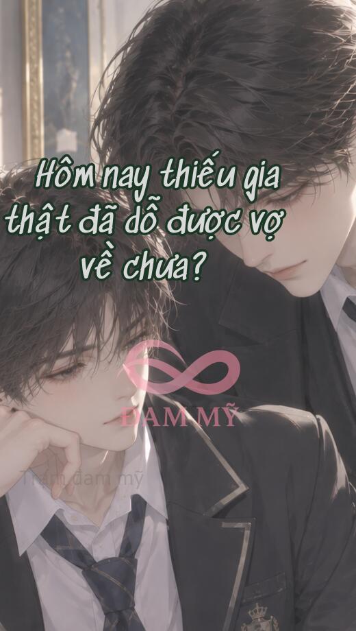 Hôm nay thiếu gia thật đã dỗ được vợ về chưa?