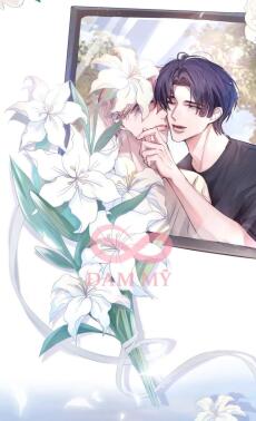 Gặp Tường Không Nản