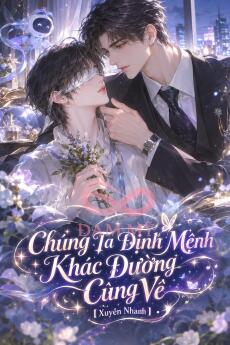 Chúng Ta Định Mệnh Khác Đường Cùng Về【Xuyên Nhanh】