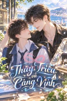 Thủy Triều và Cảng Vịnh